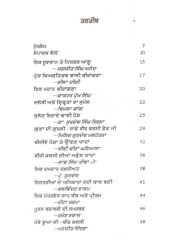 Punjab Di Nidarak Nari Bibi Bir Kalsi - Book By Dr. Iqbal Kaur