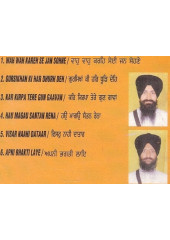 Sei Jan Sohne - Audio CDs By Bhai Satinder Beer Singh Ji