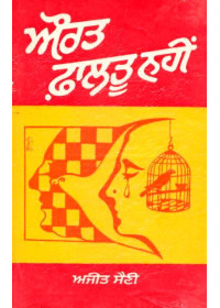 Aurat Faltu Nahi