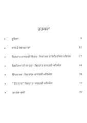 Birtaant Shaastar Ate Punjabi Novel - Book By Resham Singh