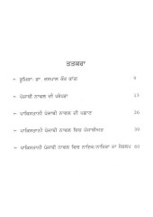 Pakistani Punjabi Novel
