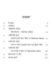 Pash Kaav Da Bimb Vidhan - Book By Ramandeep Bath