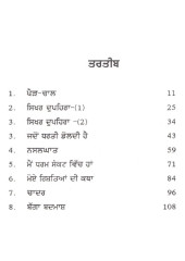 Sikhar Dupehra - Book By Jasvir Singh Rana