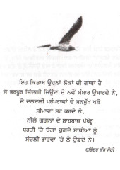 Jonathan Livingston Seagull - Book By Richard Bach 