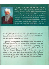 Shining Path Of Divine Wisdom - Book By Raghbir Singh Bir