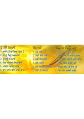 Tu Mero Peyaro - MP3 By Bhai Ravinder Singh Ji, Sant Anup Singh Ji, Bhai Maninder Singh Ji, Bhai Satvinder Singh Ji, Bhai Harnam Singh Ji