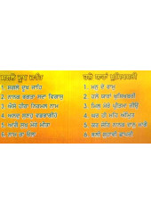 Tu Mero Peyaro - MP3 By Bhai Ravinder Singh Ji, Sant Anup Singh Ji, Bhai Maninder Singh Ji, Bhai Satvinder Singh Ji, Bhai Harnam Singh Ji