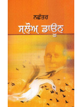 Slow Down (Punjabi) - Book By Nachhatar