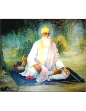 Guru Nanak Dev Ji - GN252