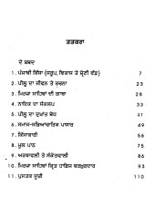 Mirza Sahiban- Book By  Charanjit Singh Gumtala 