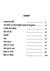 Pagal Di Diary & Other Short Stories - Book By Darshan Singh Gill