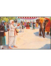 Sikh Historical - HI667
