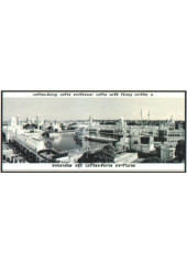 Golden Temple - GE773