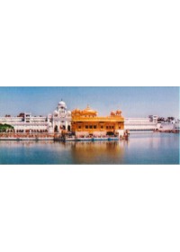 Golden Temple - GE791