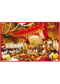 Golden Temple - GTS1181