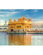 Golden Temple - GTS237