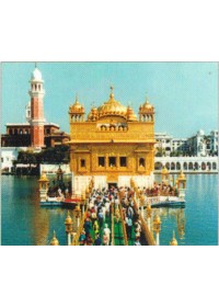 Golden Temple - GTS238