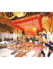 Golden Temple - GTS294
