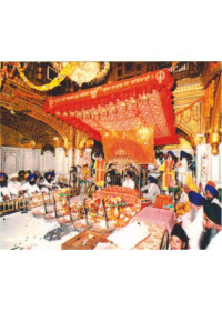 Golden Temple - GTS294