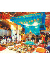 Golden Temple - GTS295