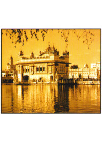 Golden Temple - GTS304