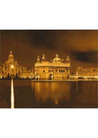Golden Temple - GTS335 Golden Temple - GTS335
