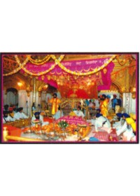 Golden Temple - GTS370