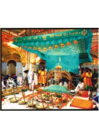 Golden Temple - GTS376 Golden Temple - GTS376