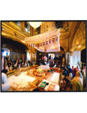Golden Temple - GTS377