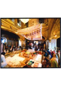 Golden Temple - GTS377