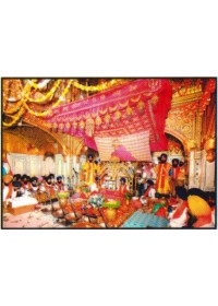 Golden Temple - GTS441 Golden Temple - GTS441