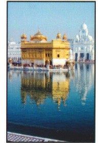 Golden Temple - GTS643