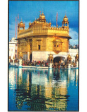 Golden Temple - GTS646