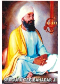 Sikh Gurus - SG073