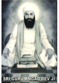 Sikh Gurus - SG078 Sikh Gurus - SG078