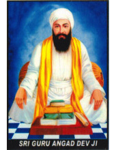 Sikh Gurus - SG381