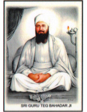 Sikh Gurus - SG400