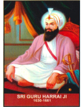 Sikh Gurus - SG410