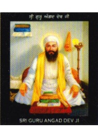 Sikh Gurus - SG833