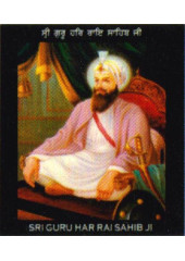 Sikh Gurus - SG838