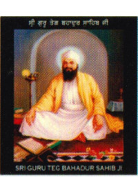 Sikh Gurus - SG840